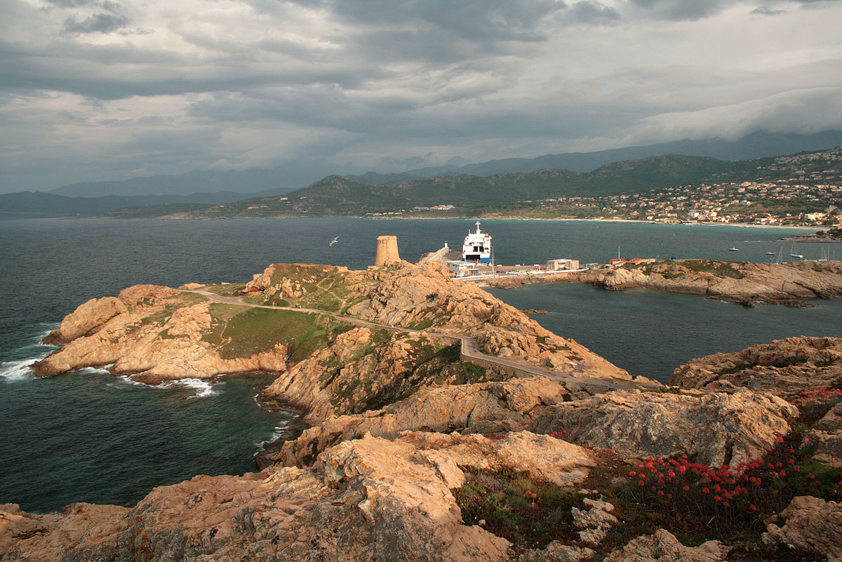 Frigoriste ile rousse