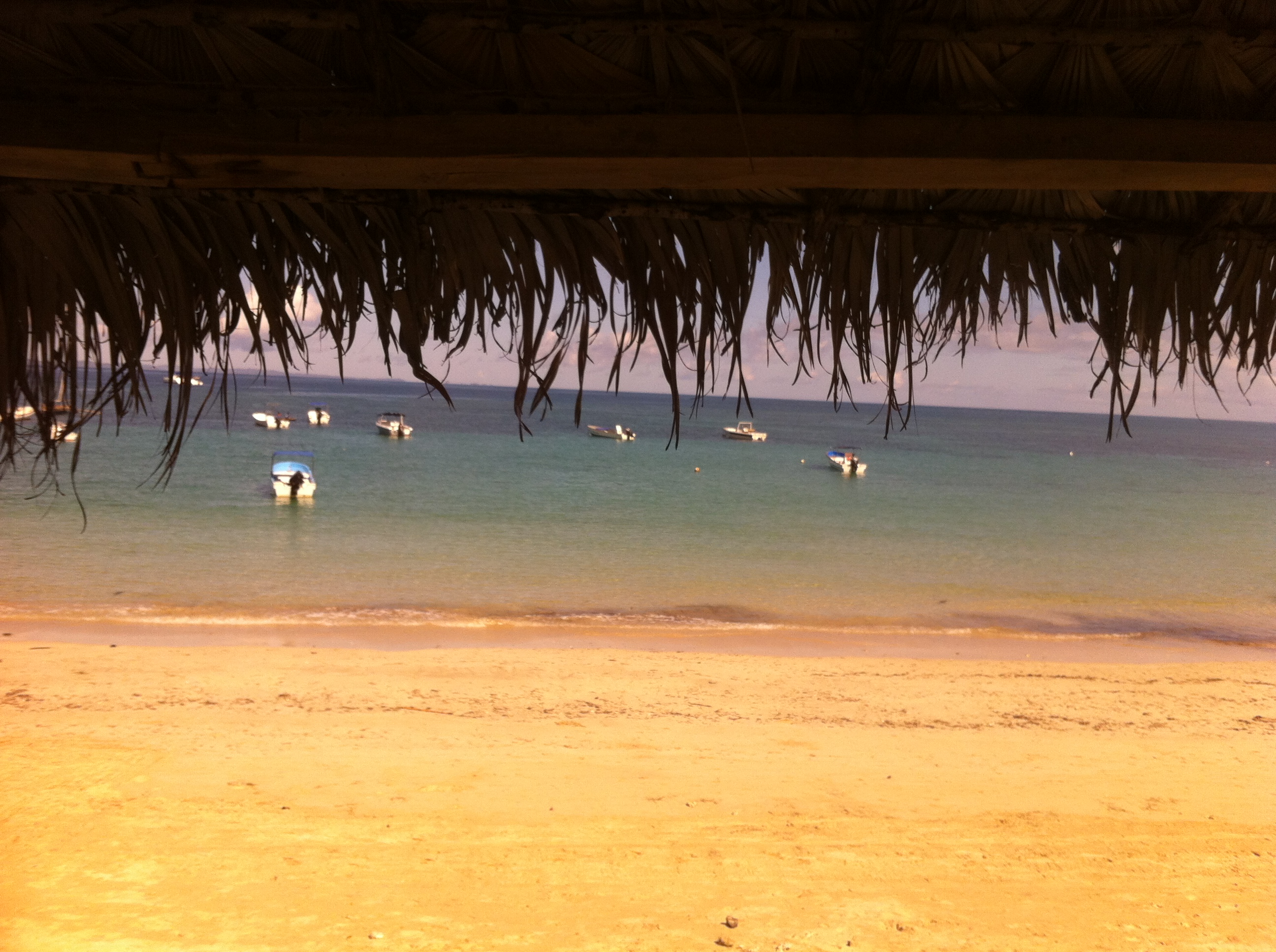Frigoriste nouvelle caledonie