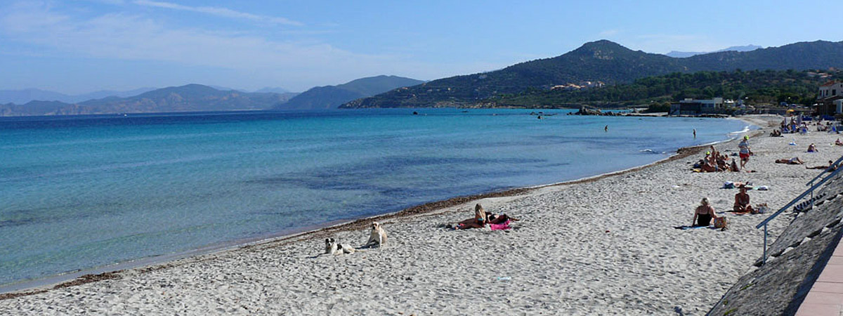 Frigoriste ile rousse