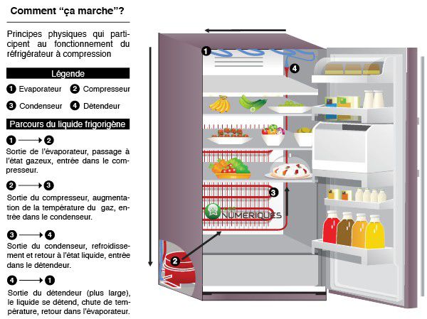 Frigo humide