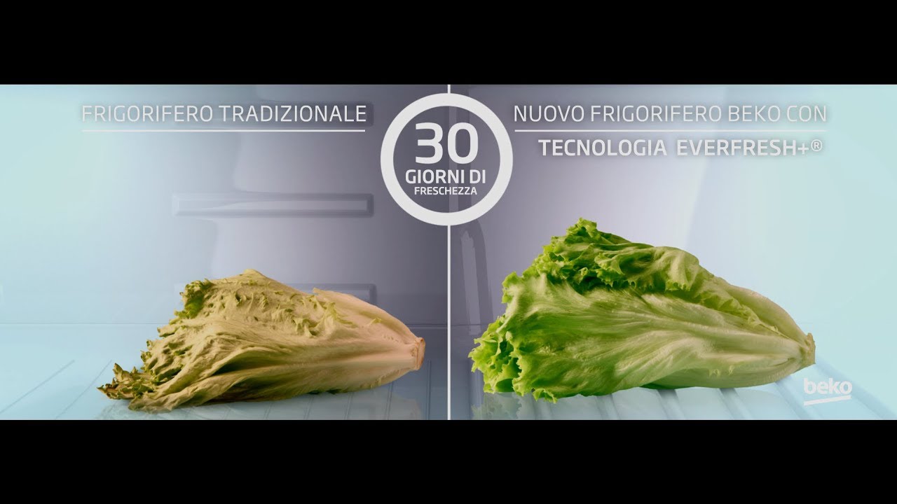 Frigo beko everfresh