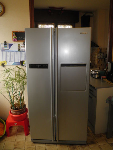 Réfrigérateur américain 484l samsung rsa1ztmg