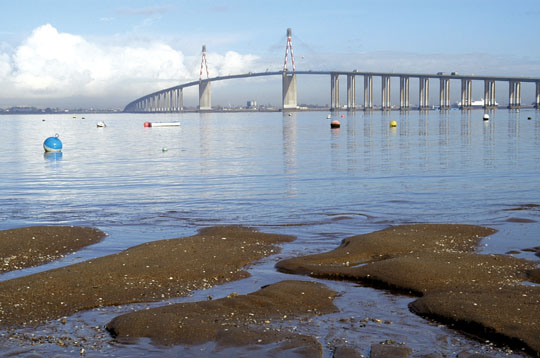 Frigoriste saint nazaire