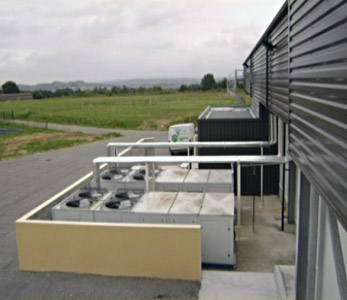 Frigoriste bollene