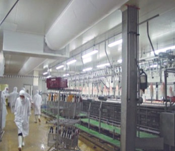 Frigoriste mont de marsan