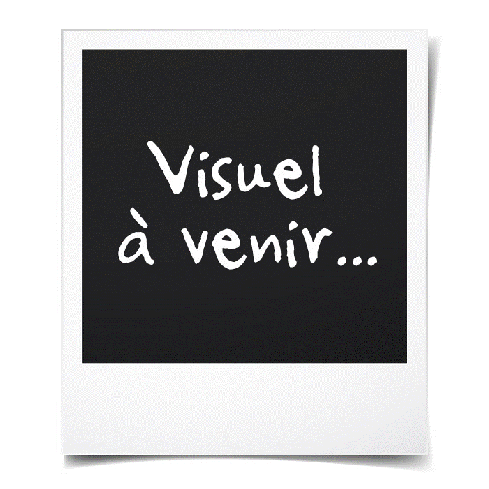 Réfrigérateur américain hotpoint-ariston sxbd925gf